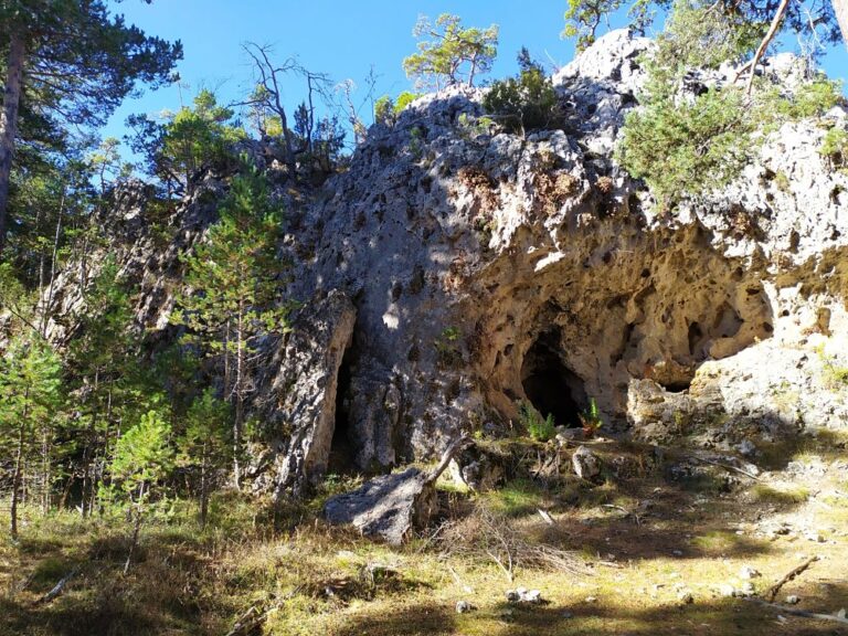 camp maquis excursion