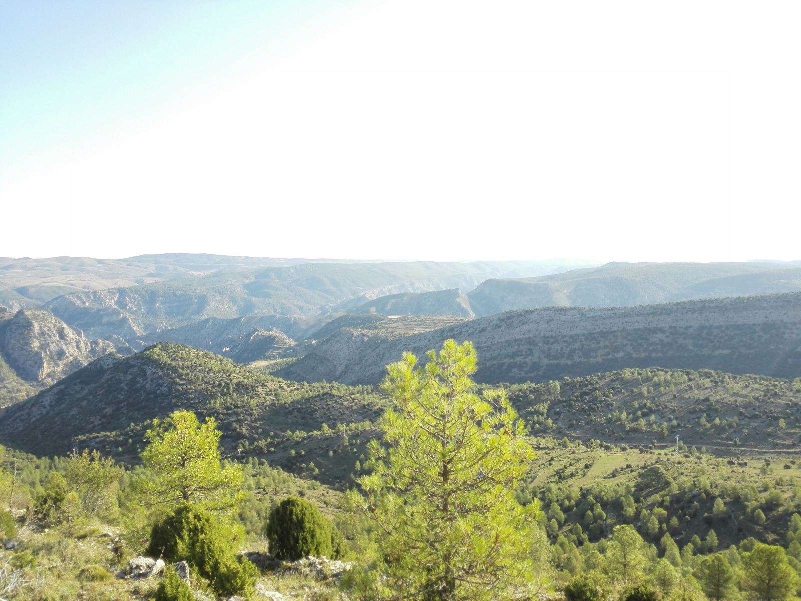 Views from the Cabezo del Ladronar