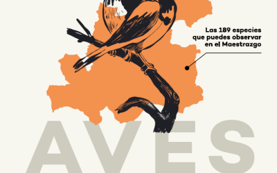 Guia de aves