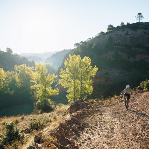 Pedal pista Bordón (16)