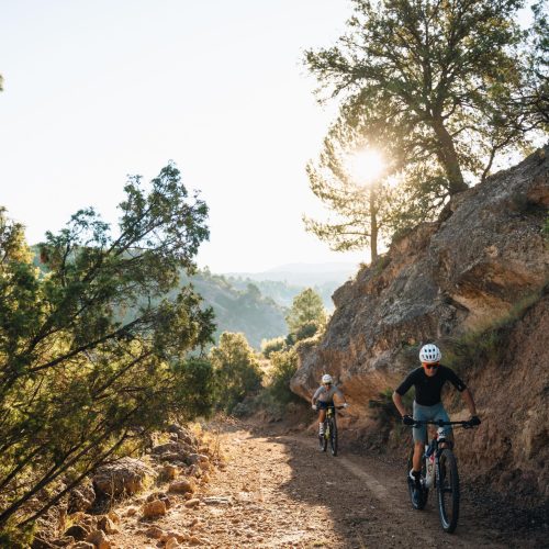 Pedal pista Bordón (26)