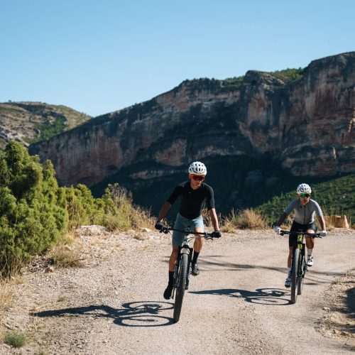 Pedal zona Algecira (13)