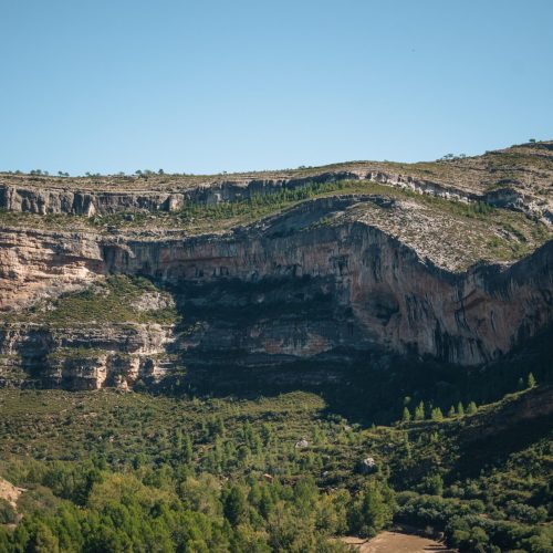 Pedal zona Algecira (22)