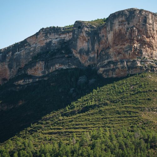 Pedal zona Algecira (23)