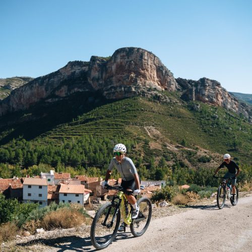 Pedal zona Algecira (3)