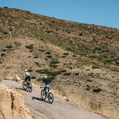 Pedal zona Algecira (8)