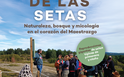 Senda de las setas